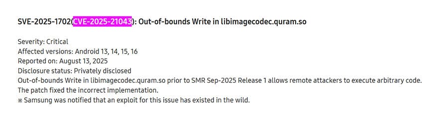 CVE 2025 21043